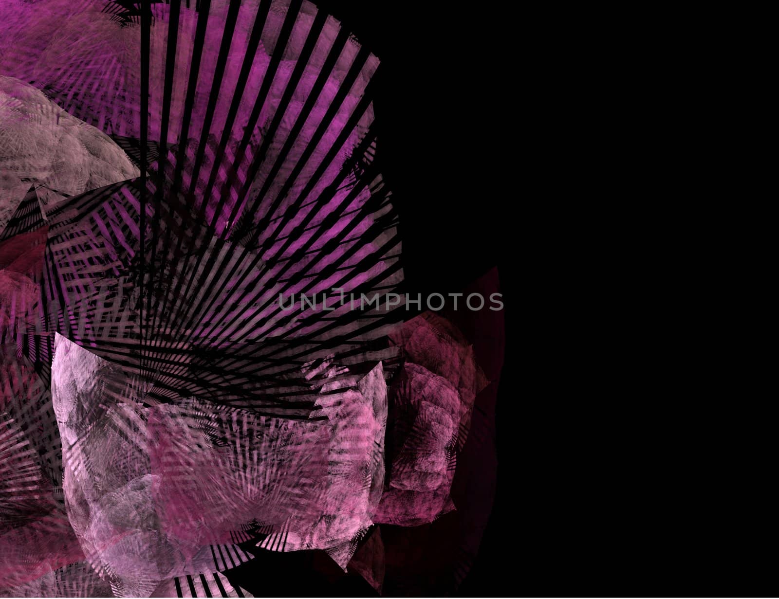 Abstract Purple Fan or Shell Shapes on Black Background