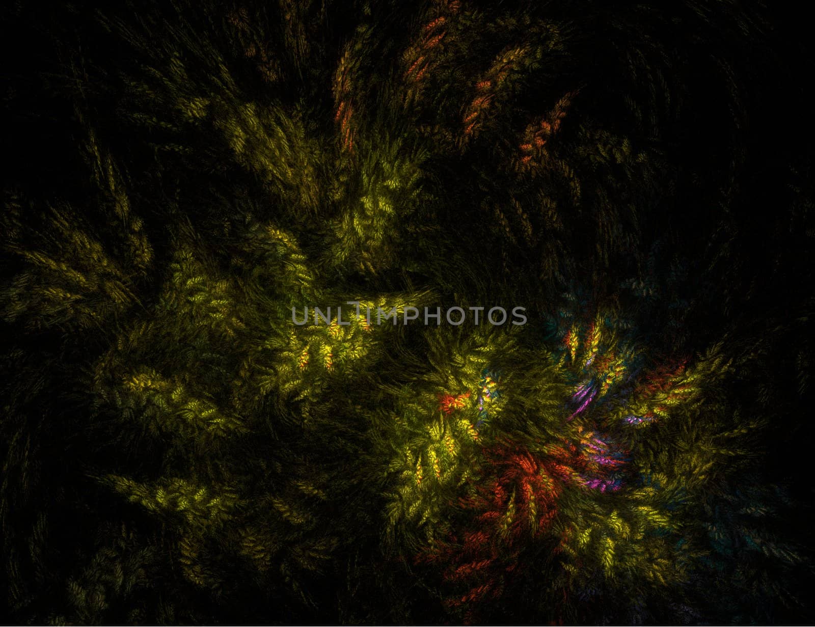 Abstract Green and Red Foliage on Black by green308