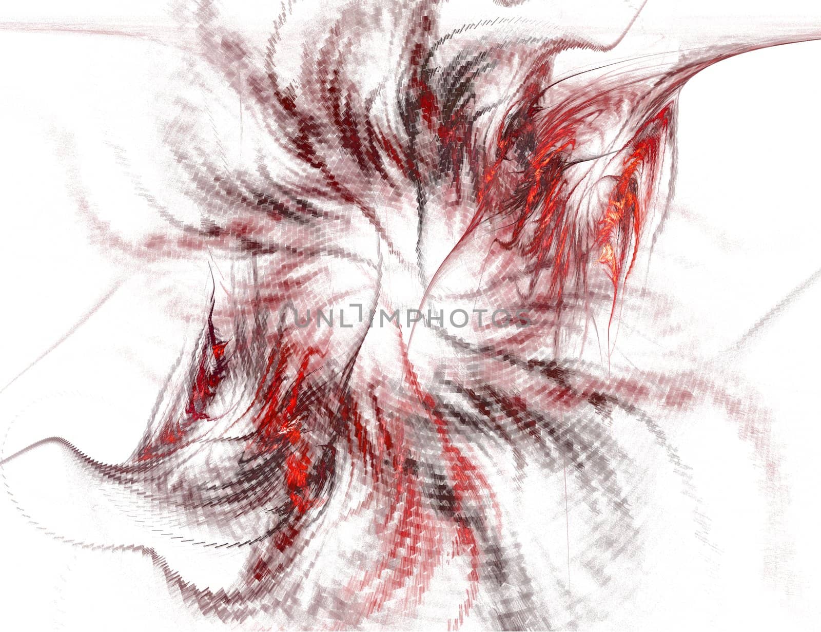 Abstract Red and Black Spiral on White Background