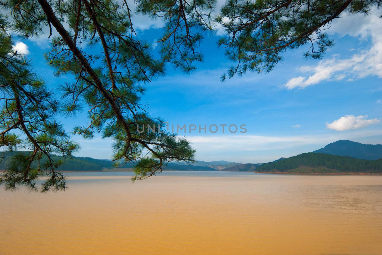 Thung Lung Vang (Golden Valley) - Da Lat - Vietnam.