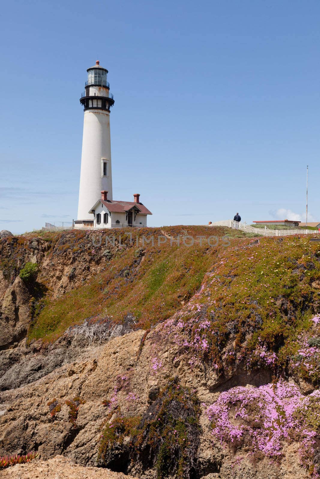 Pigeon Point Lighthouse is a lighthouse built in 1871 to guide ships on the Pacific coast of California.