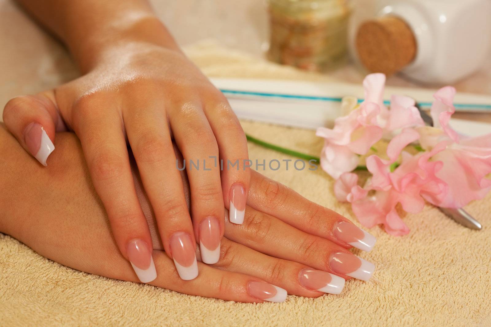 Hands of young woman with french manicure by mihhailov