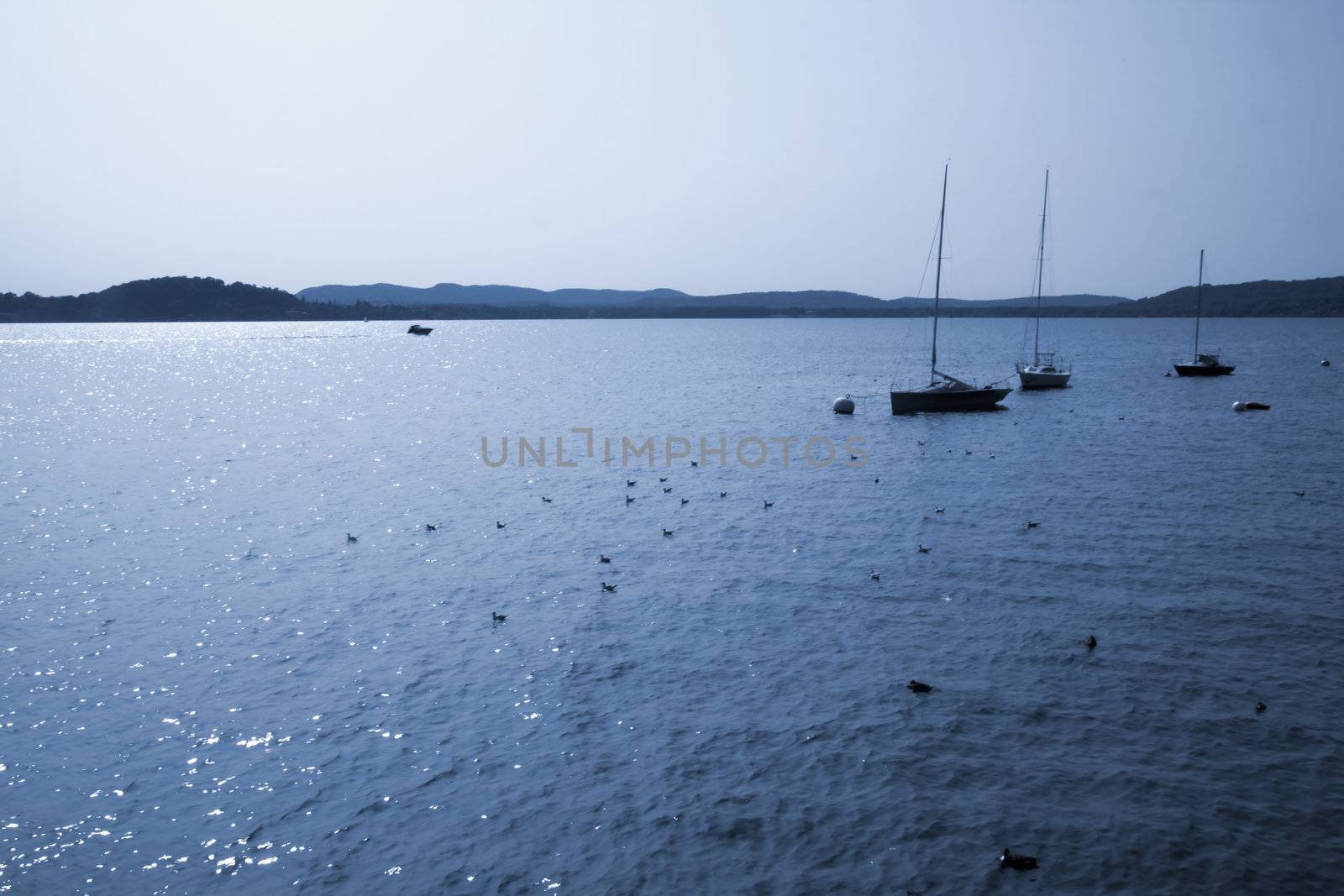 Blue landscape of lake with ducks and sails in foreground and dark mountains in the background