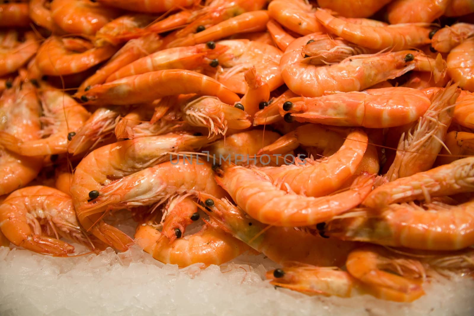 Fresh prawn for sale lay on ice.