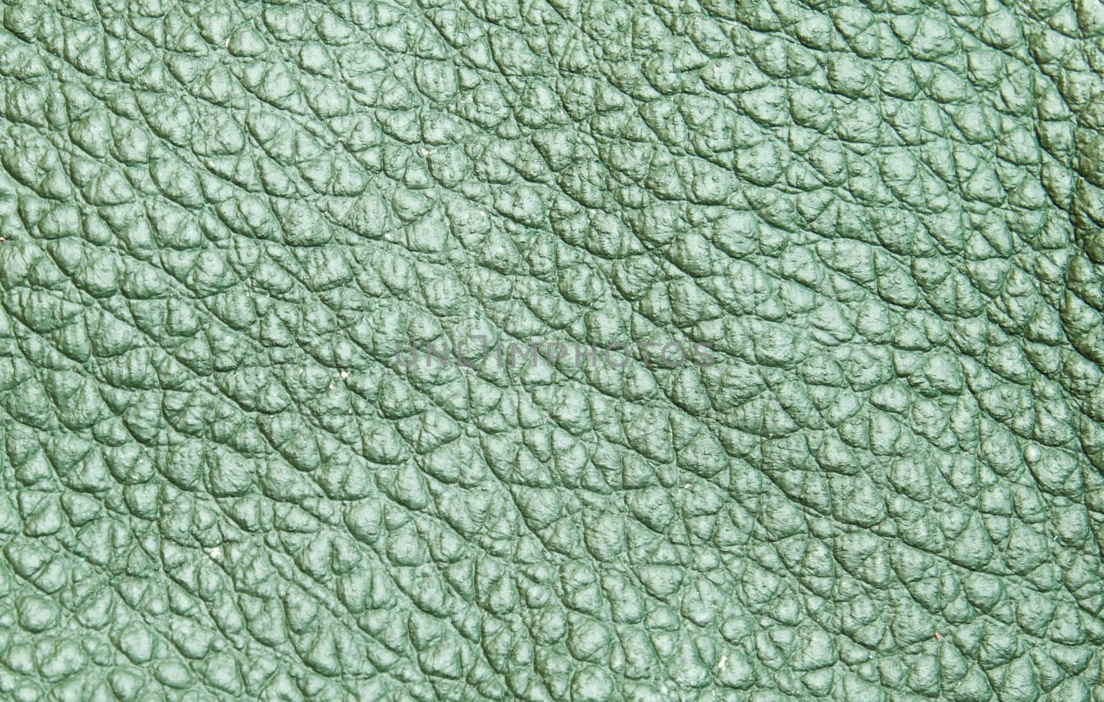 green leather texture by nuchylee