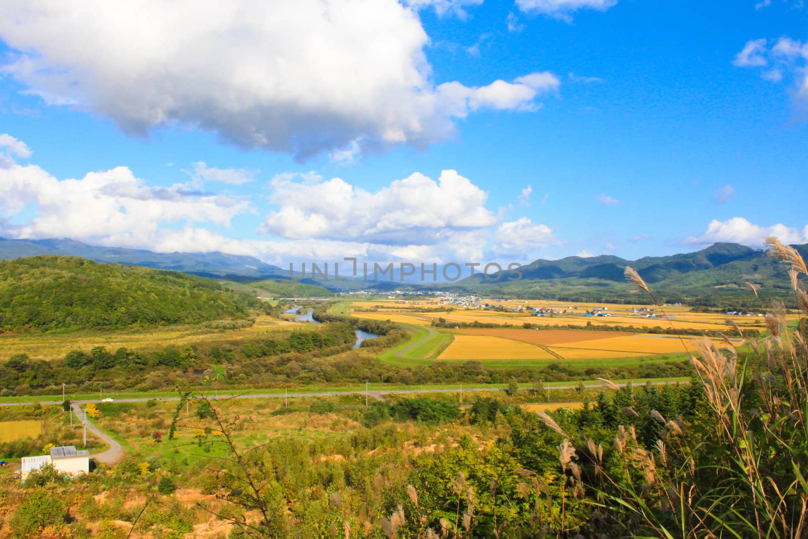 scenic view of countryside by nuchylee