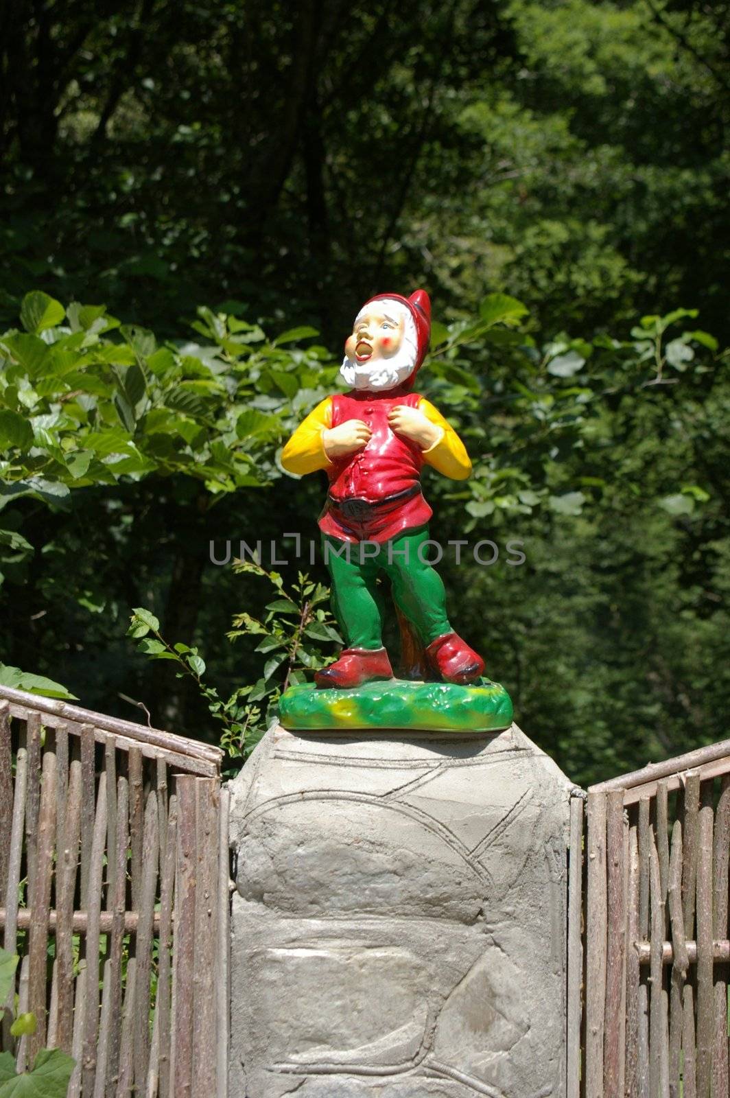 photo of the gnome sing canto