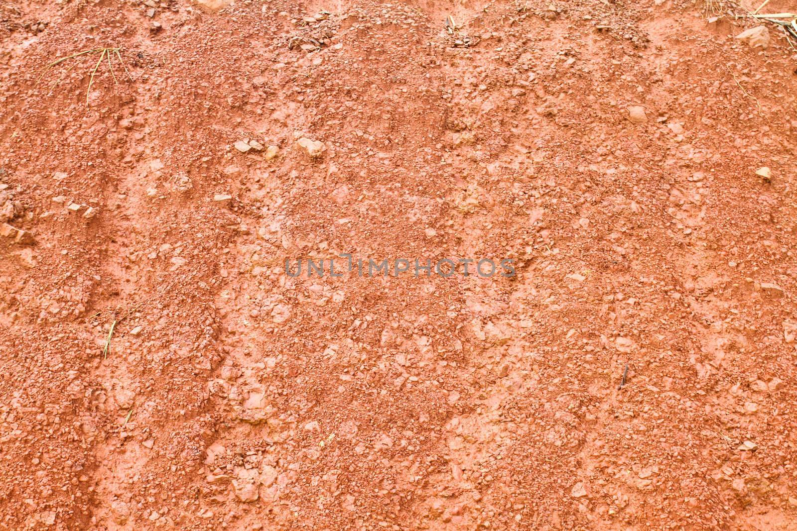 Red soil texture and dried plant
