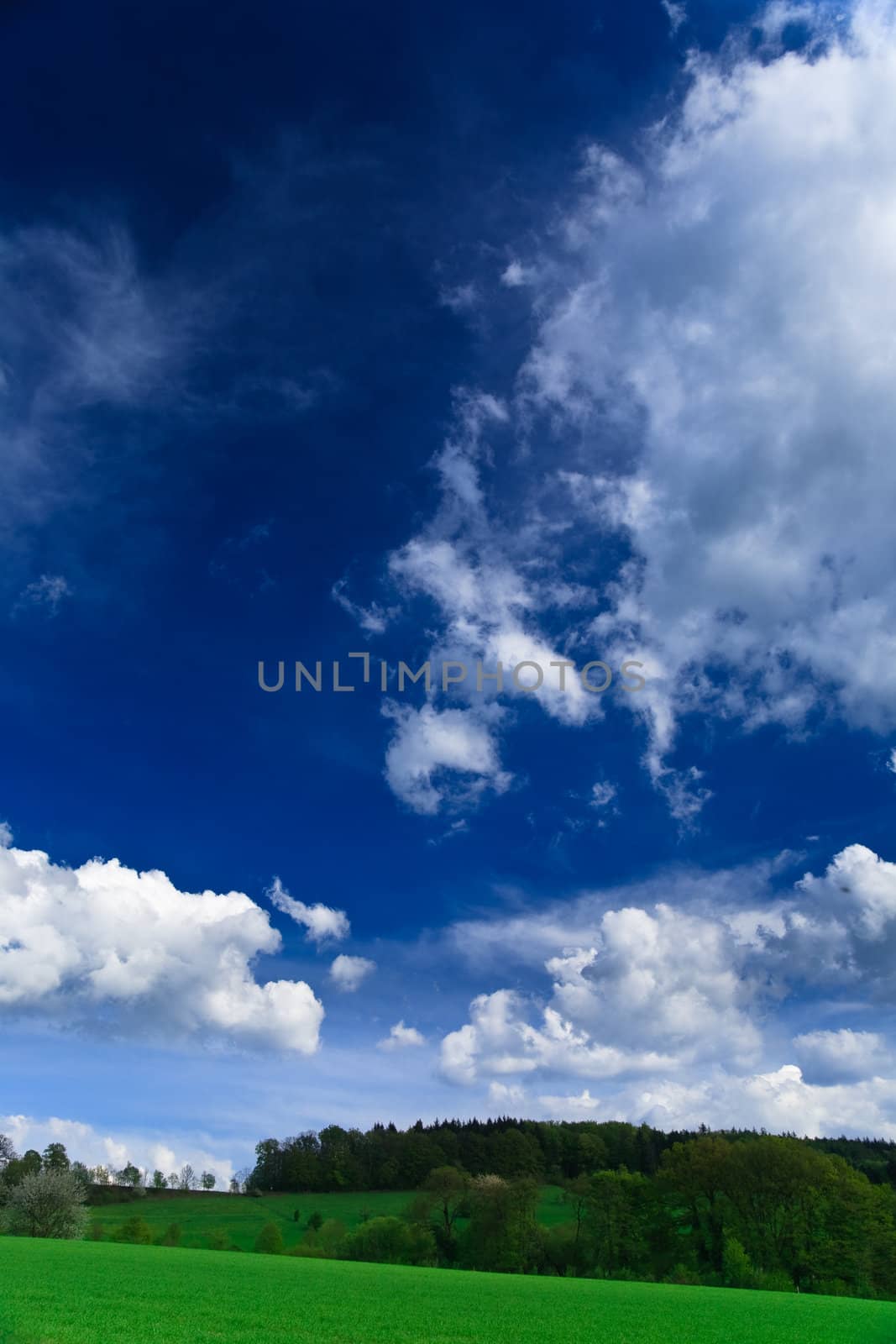 Spring landscape - green fields, the blue sky