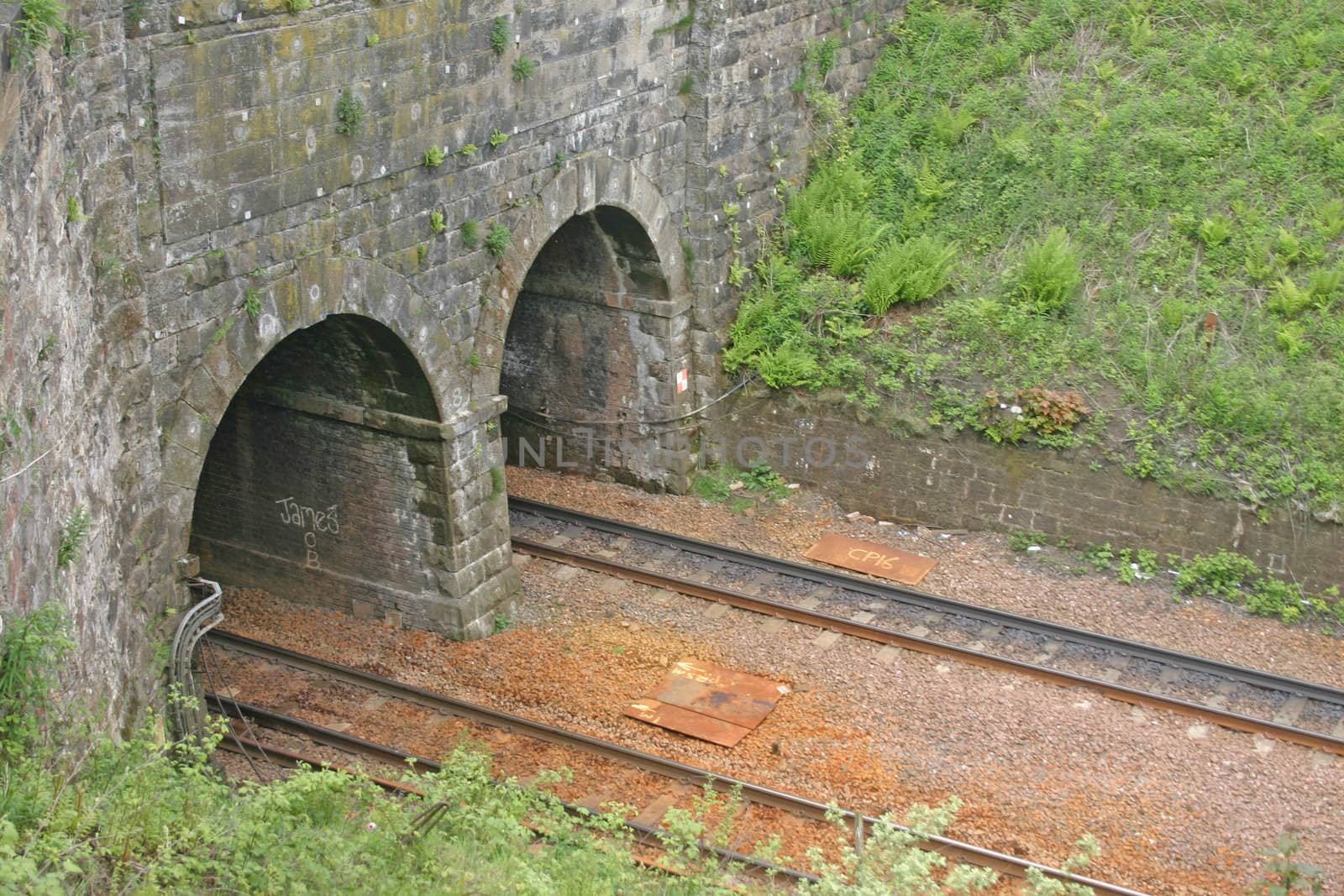 Twin Railway Tunnels by green308