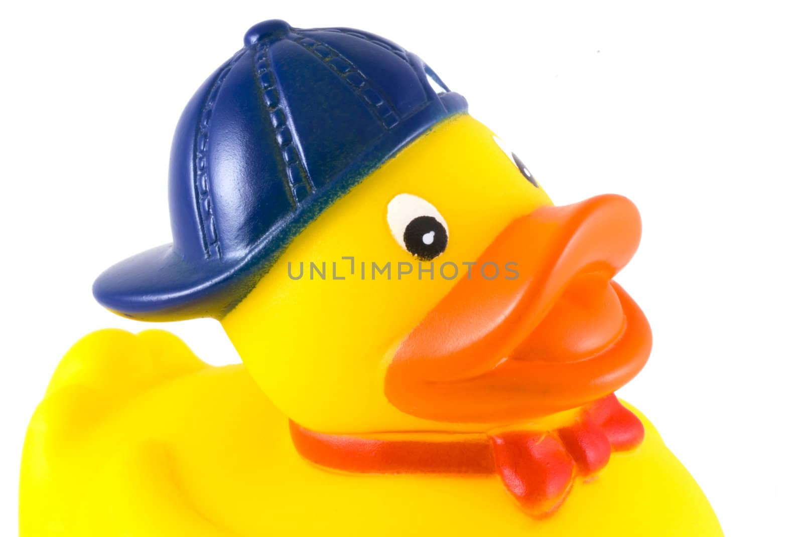 Close up of a funny rubber duck, isolated on white.