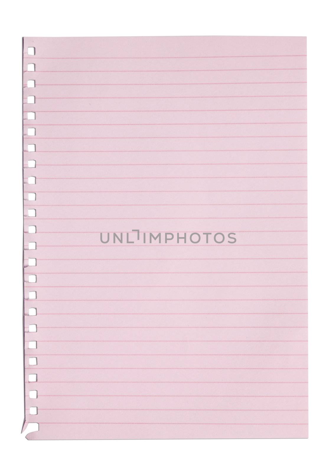 empty sheet of pink paper from a notebook in isolated