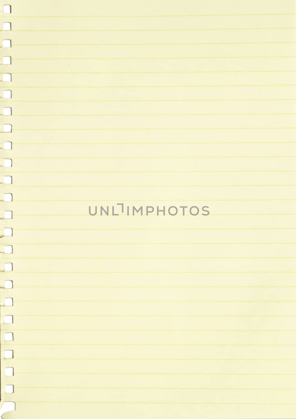 empty sheet of yellow line paper from a notebook isolated