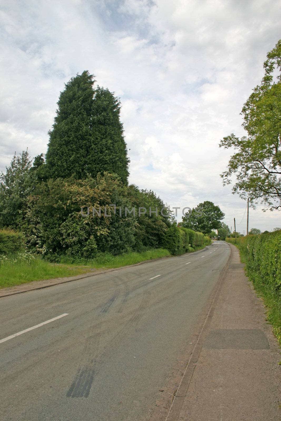 English Country Lane with Tyre Marks