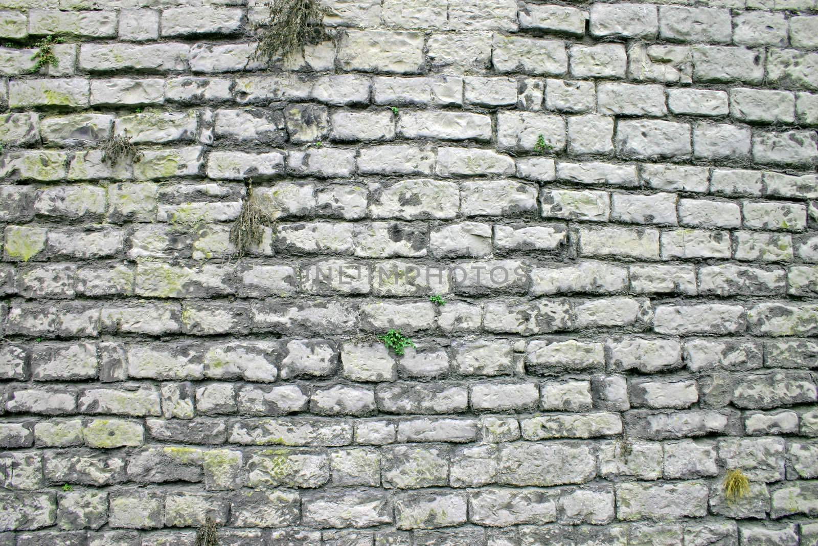 Caernarfon Castle Wall in North Wales by green308