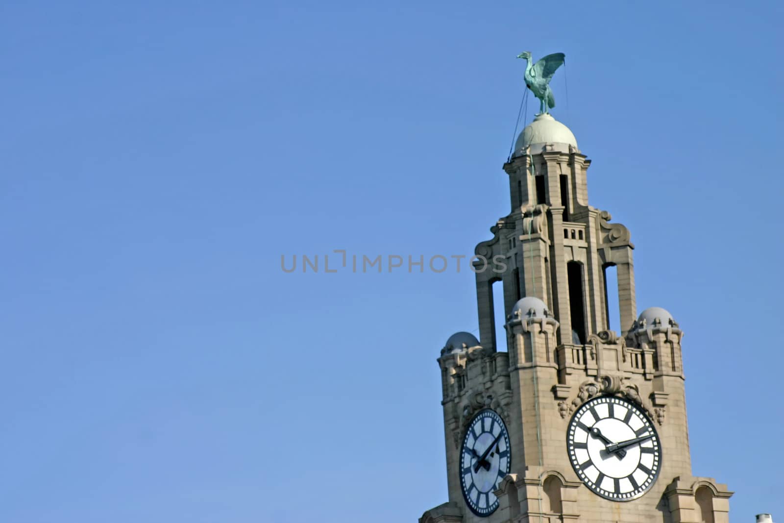 Liver Building in Liverpool by green308