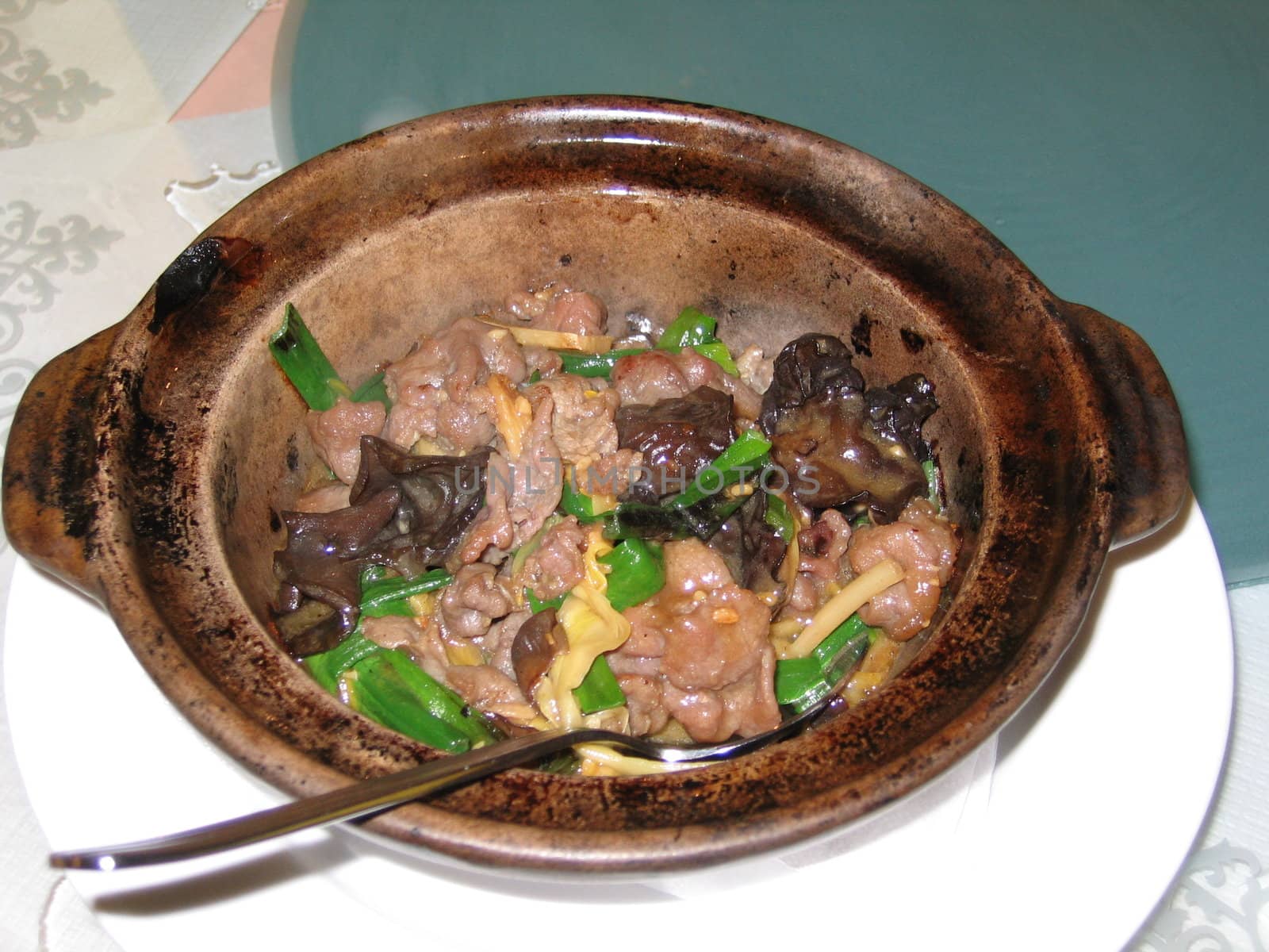 Chinese Pork and Mushroom Stew by green308