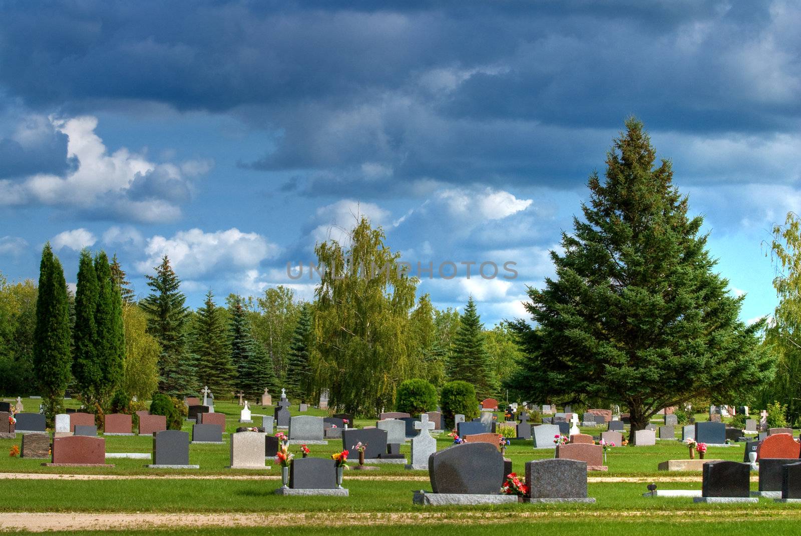 A cemetery or graveyard shot on a cloudy day