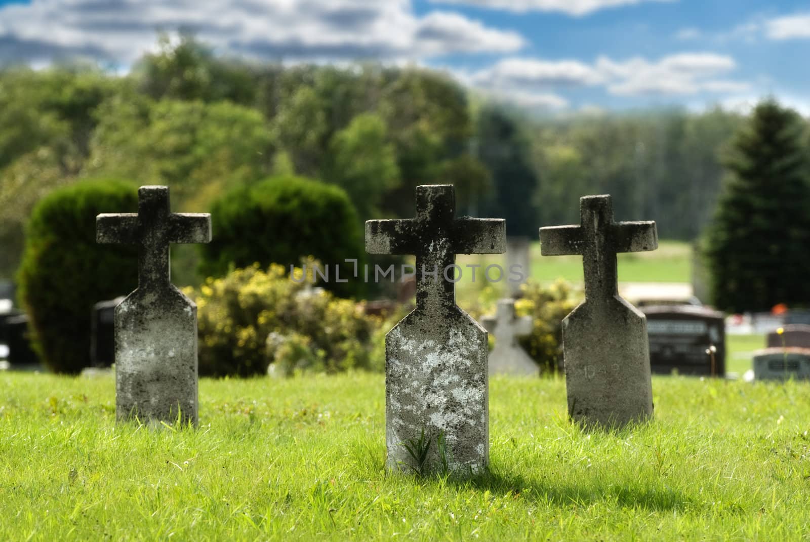 Three graves with crosses situated in a small graveyard, done in vibrant colors to signify peace