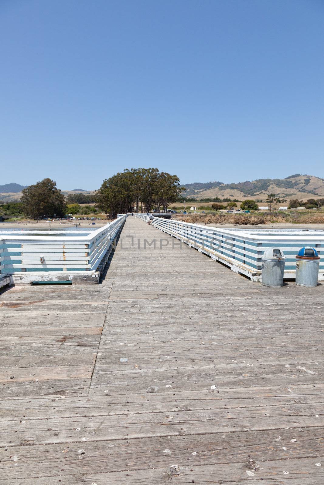 San Simeon State Park is one of the oldest units of the California State Park System. The coastal bluffs and promontories of the scenic park offer unobstructed views of the ocean and rocky shore.