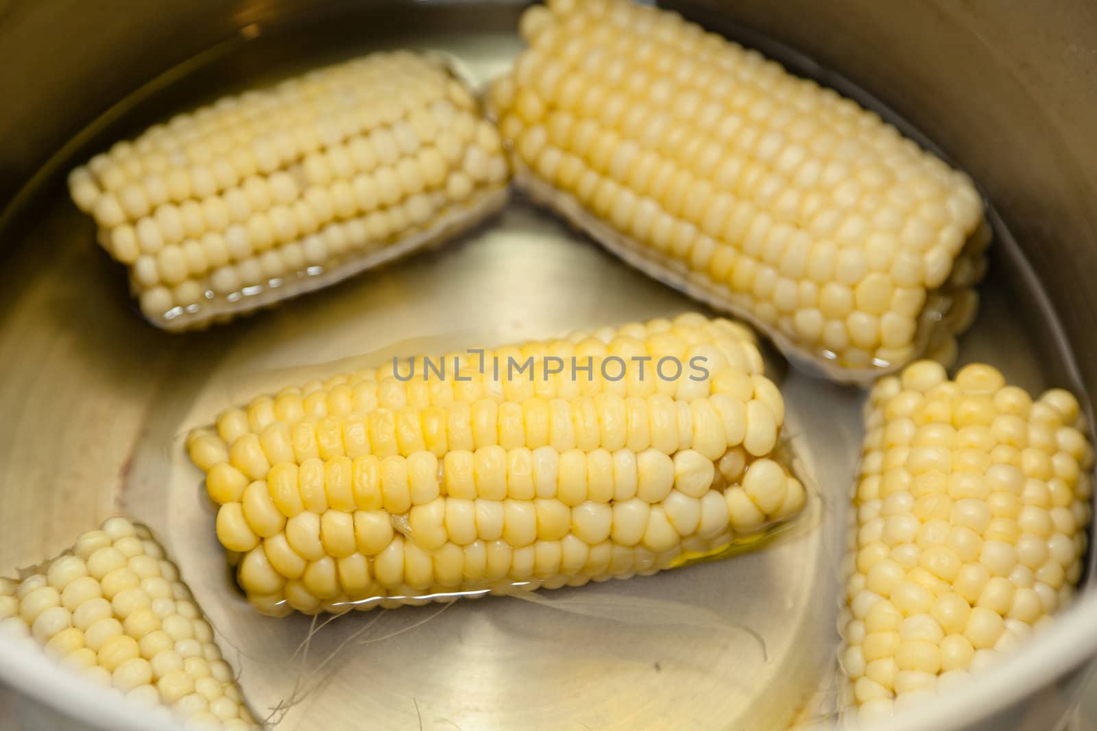 Boiled corn on the cob by melastmohican