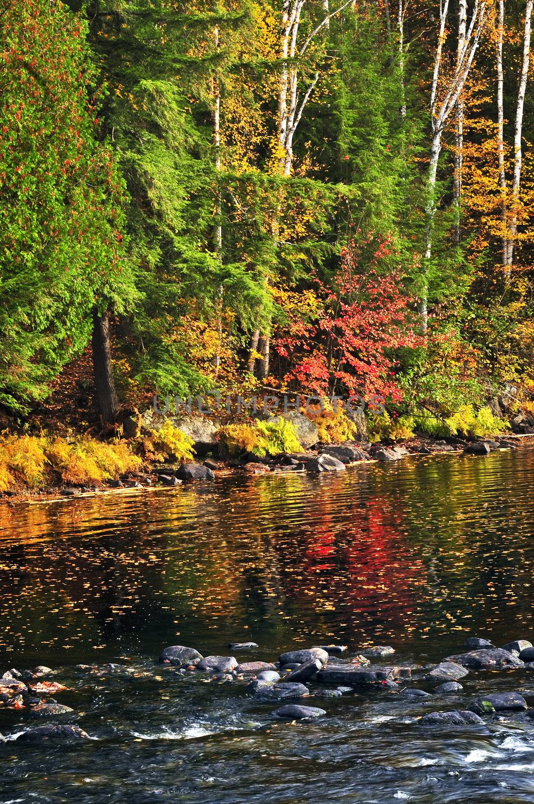 Lake shore of fall forest with colorful reflections