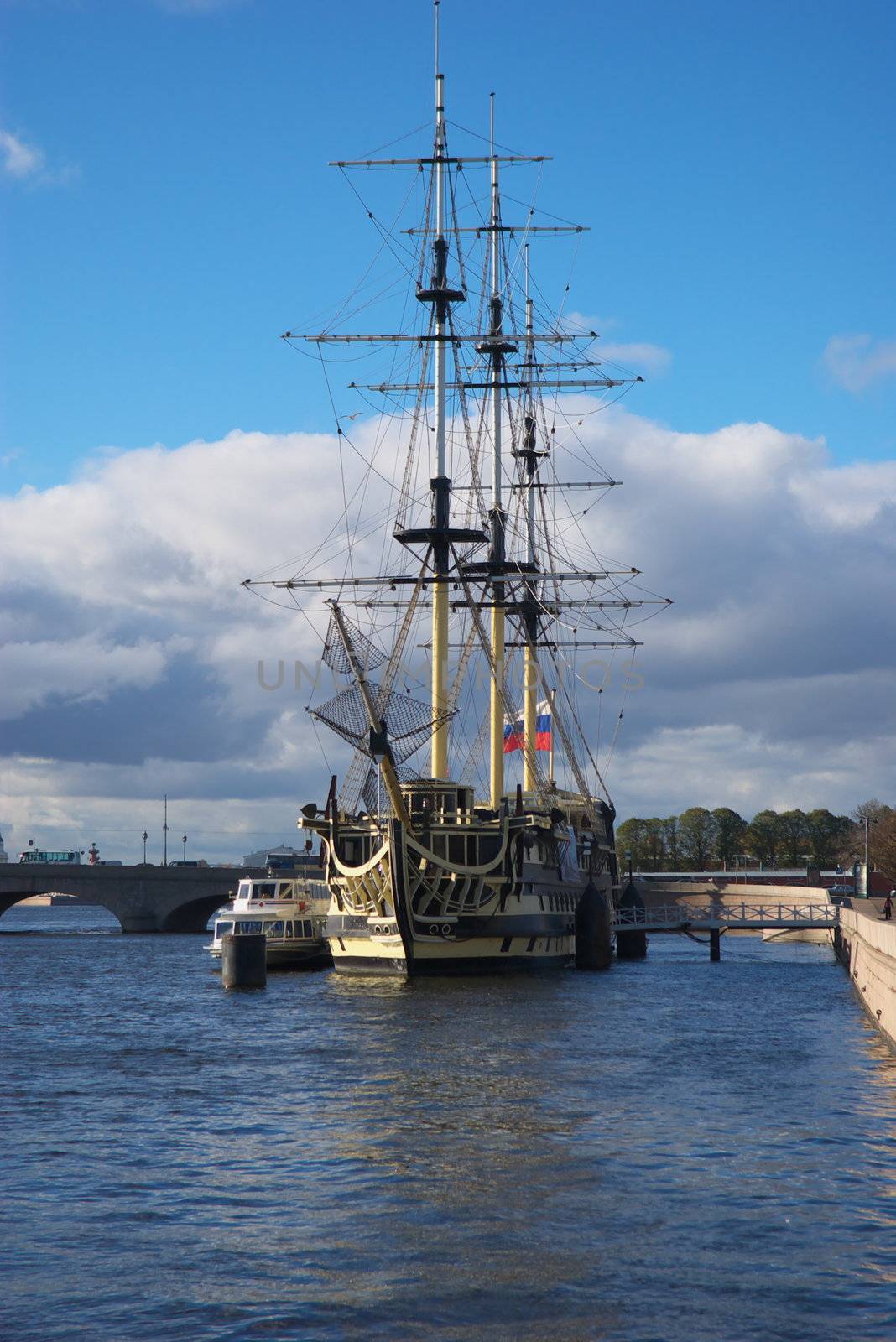 sailfish standing beside coast on river Neva