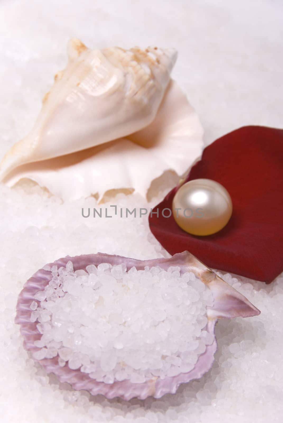 Items for bath oil pearl white salt mussels and red rose petal 