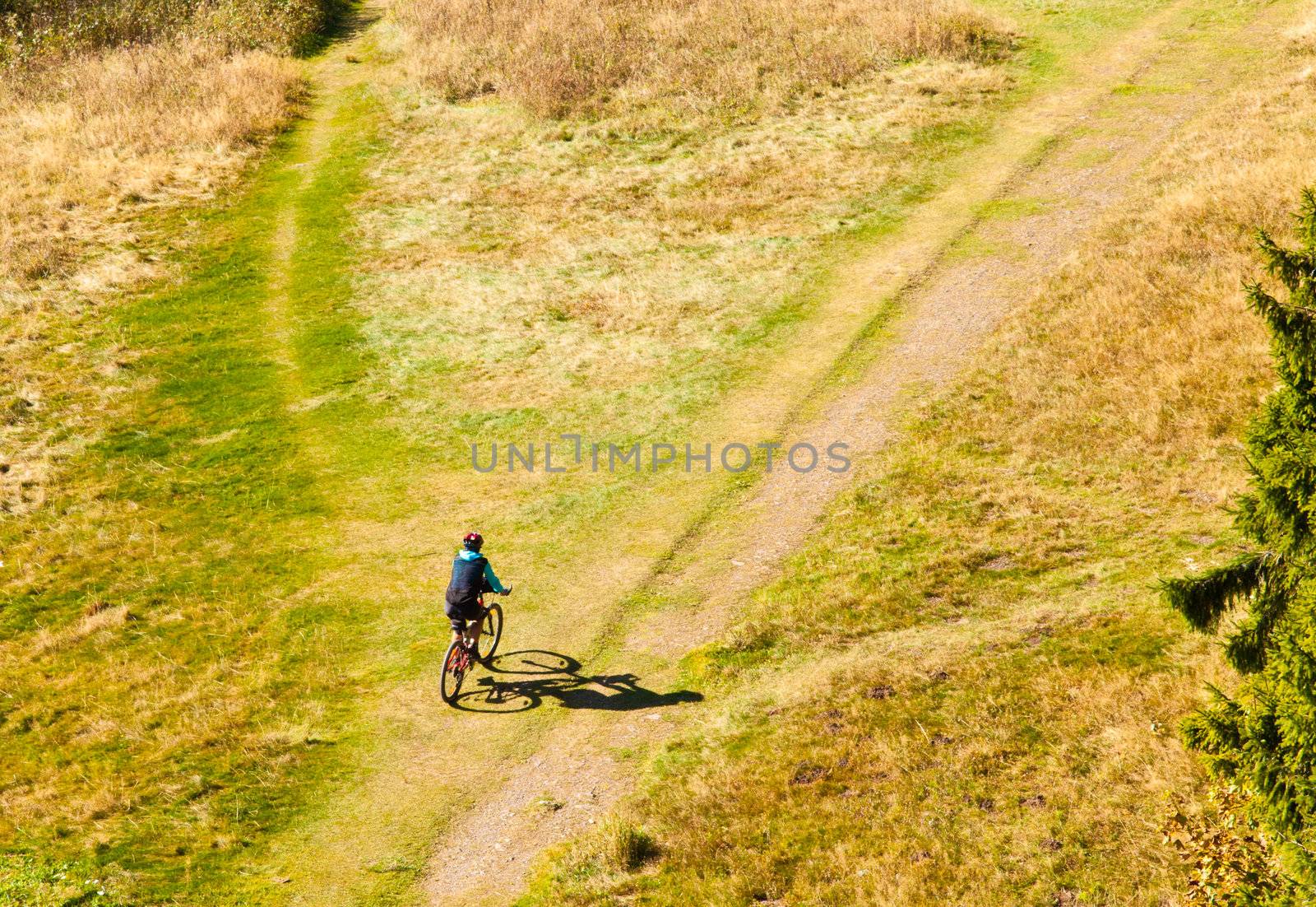 Mountain Biker Off-Road by PiLens