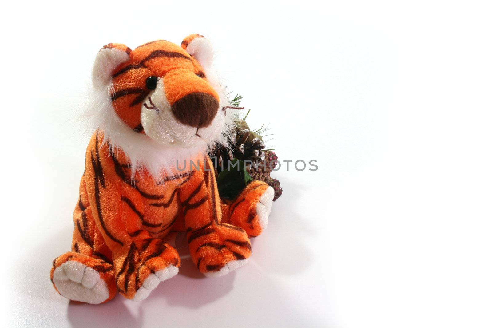 Soft toy a tiger - a symbol of 2010 on east calendar.