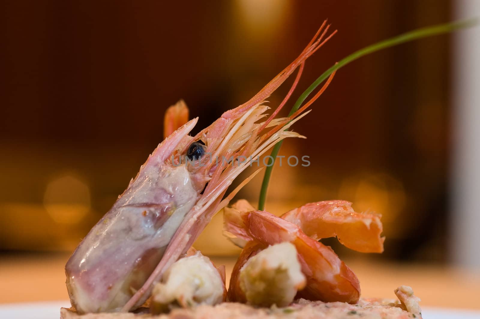 Gourmet seafood with shrimp in restaurant, close up.