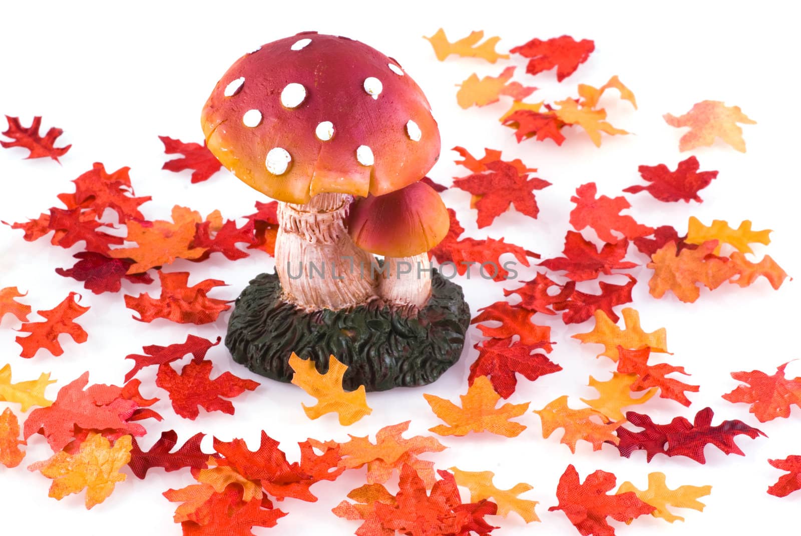 Toadstool surrounded by autumn leaves, isolated on white.