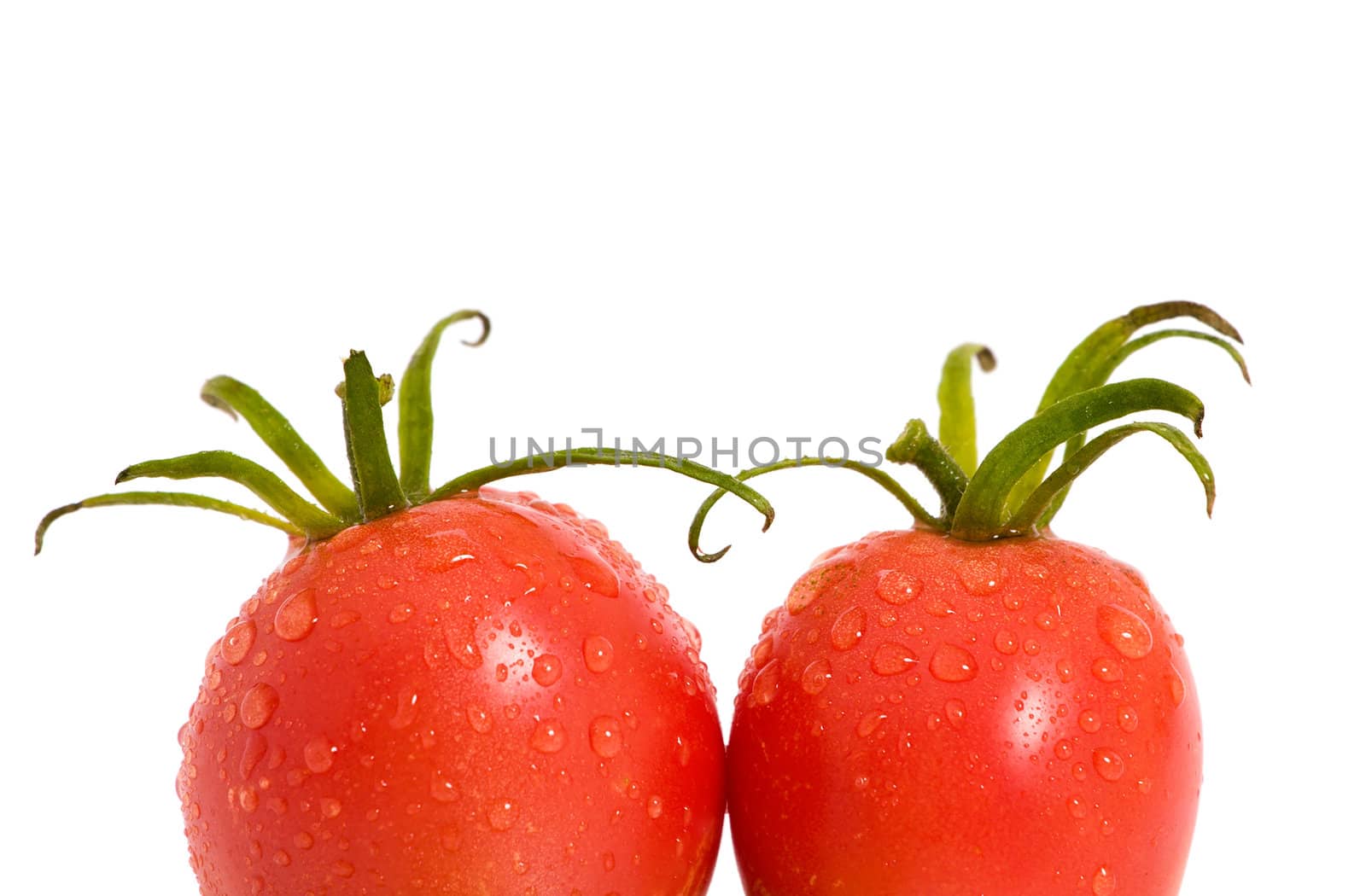  tomato by Bedolaga