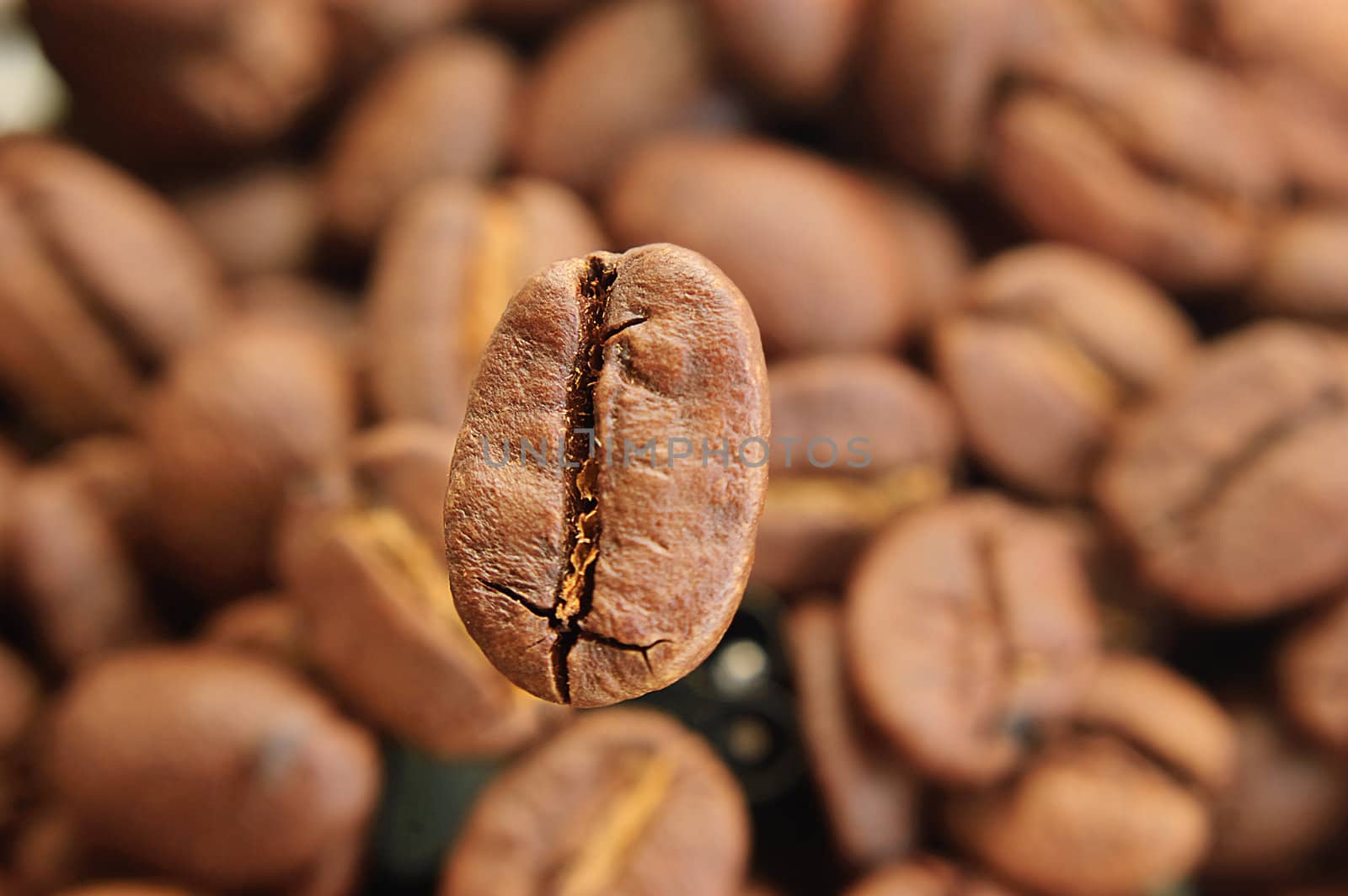 Background of coffee beans with one big in focus