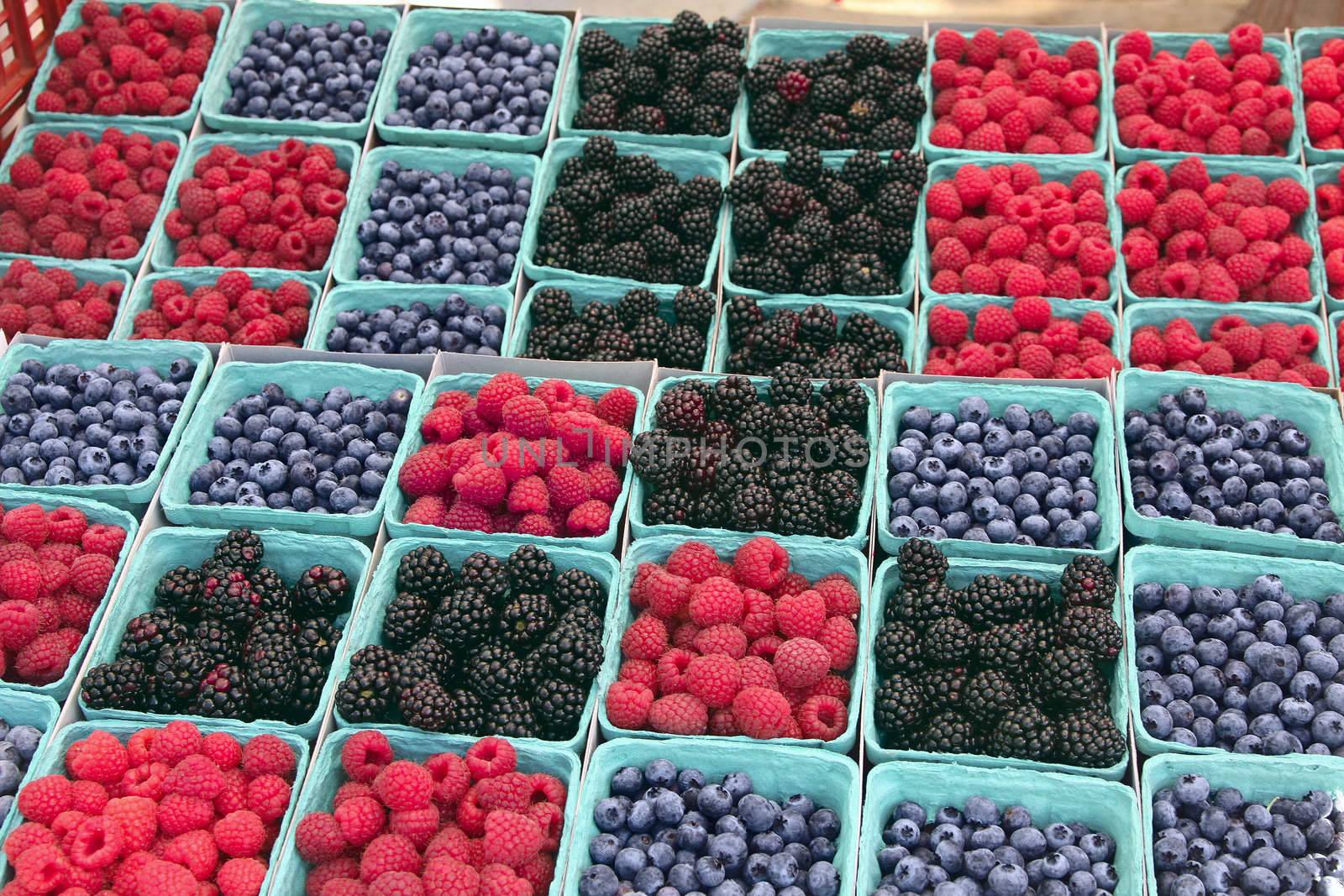 Blueberries, blackberries, and raspberries in cartons arranged for sale at farmers' market.