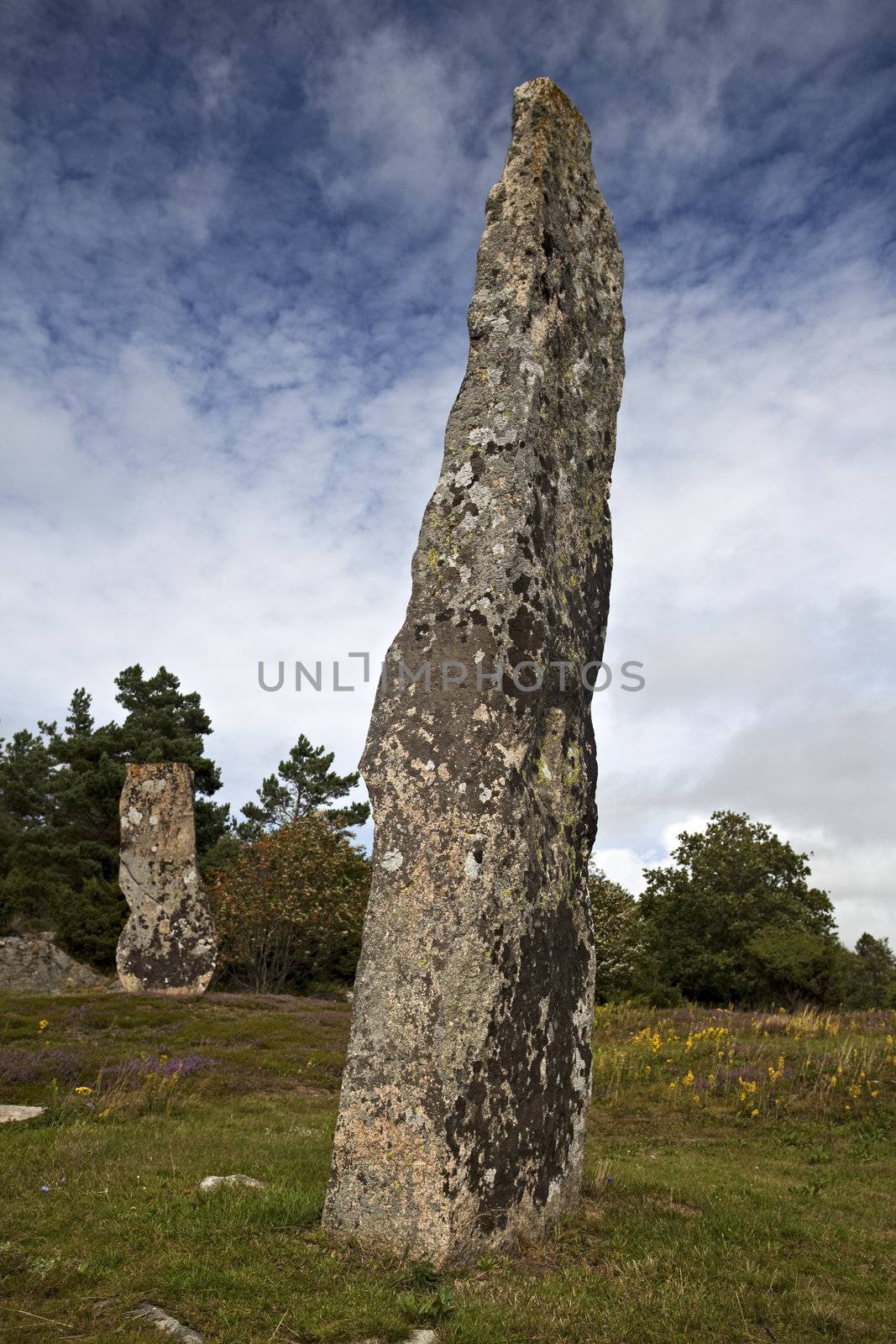 viking grave stone on a summer day