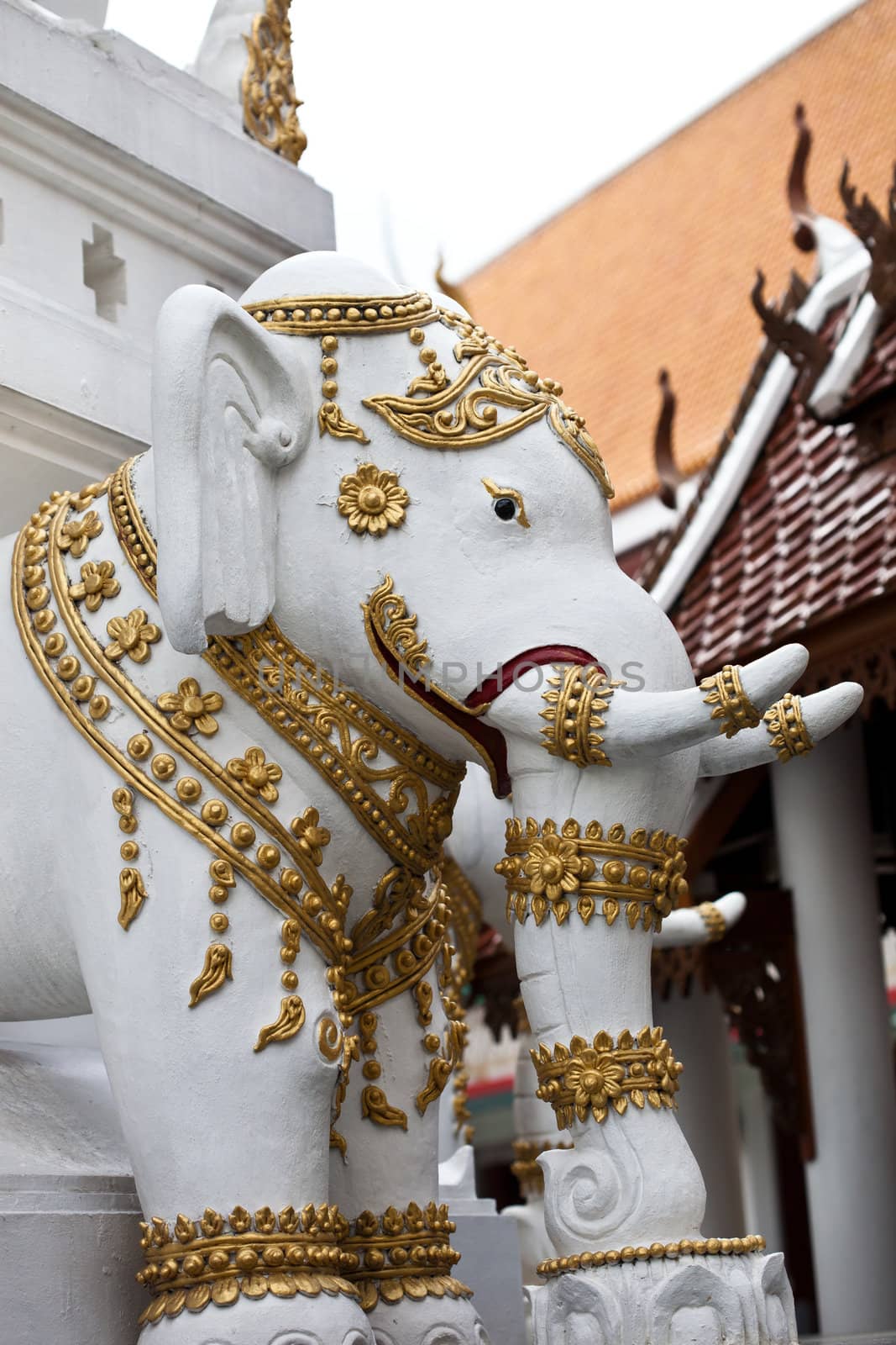 elephant white  in thai temple