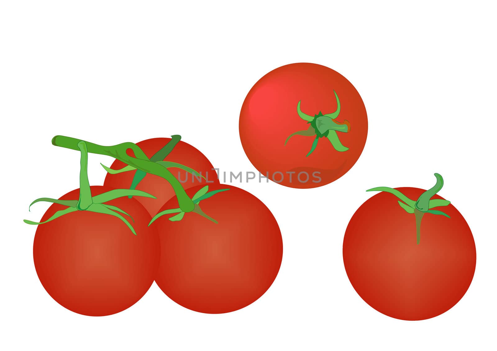 Illustration of tomatoes in different profiles and groupings.