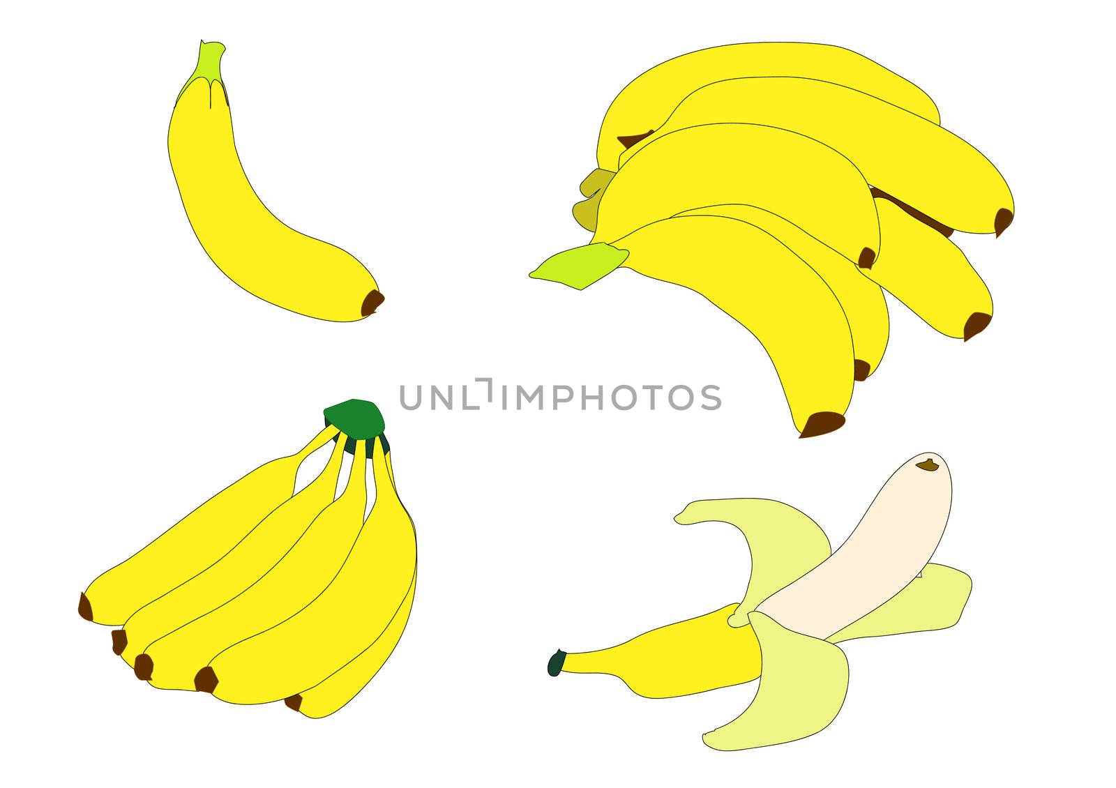 Illustration of various groupings of bright yellow bananas over white.