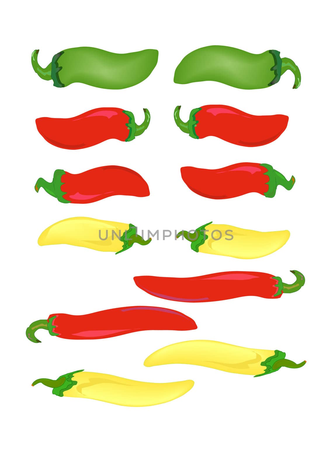 Hand drawn illustration of various hot peppers.