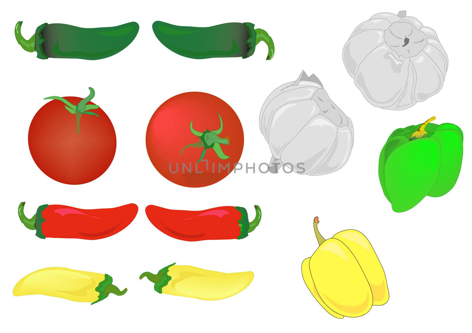 Illustration of red tomatoes, garlic and hot and bell peppers.