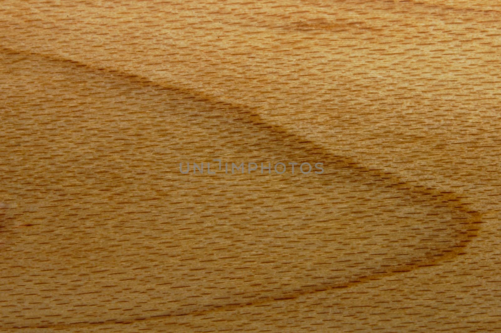 Close-up of the grain in a piece of beech wood, suitable for background.