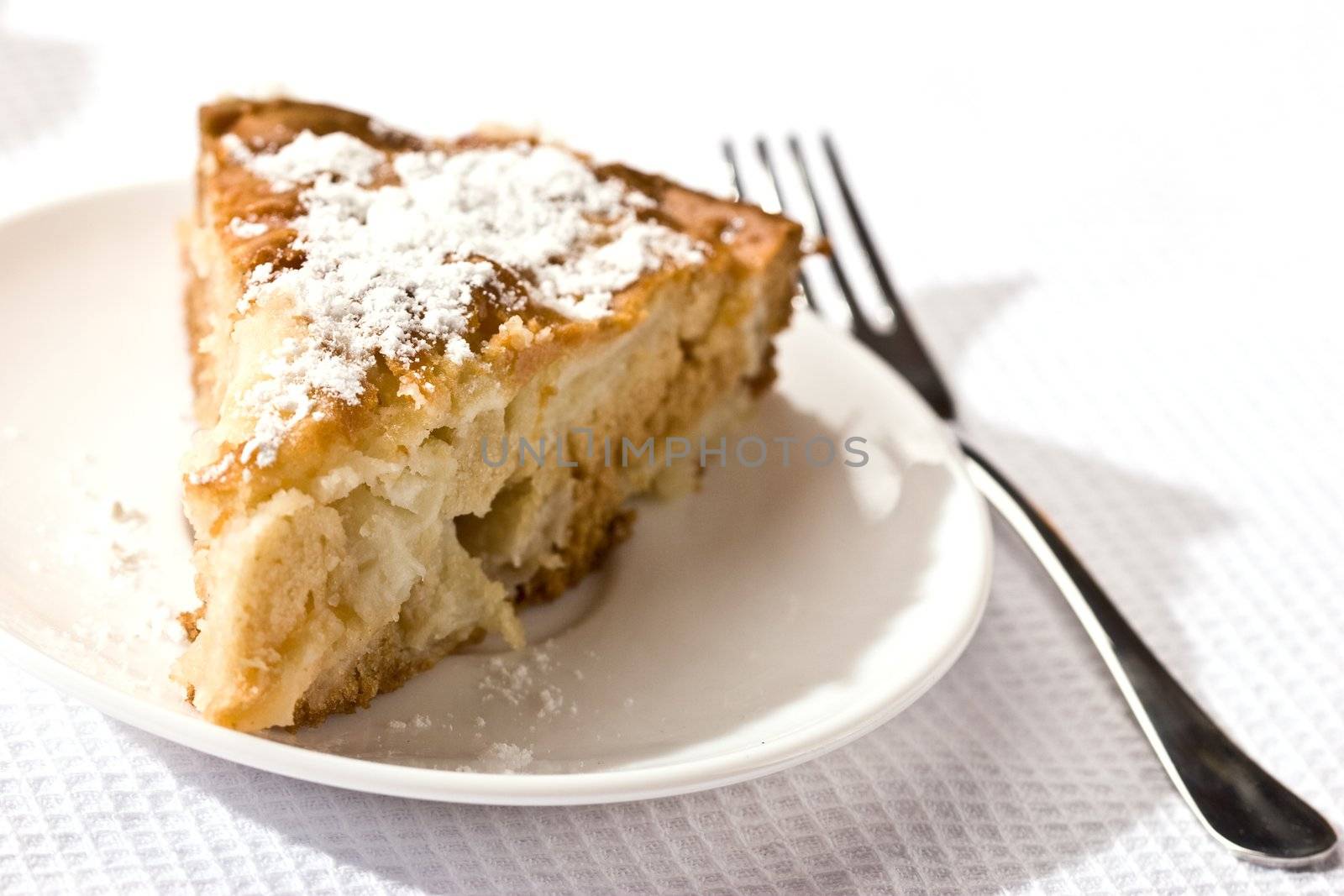 food serias: apple-pie on the plate with icing sugar