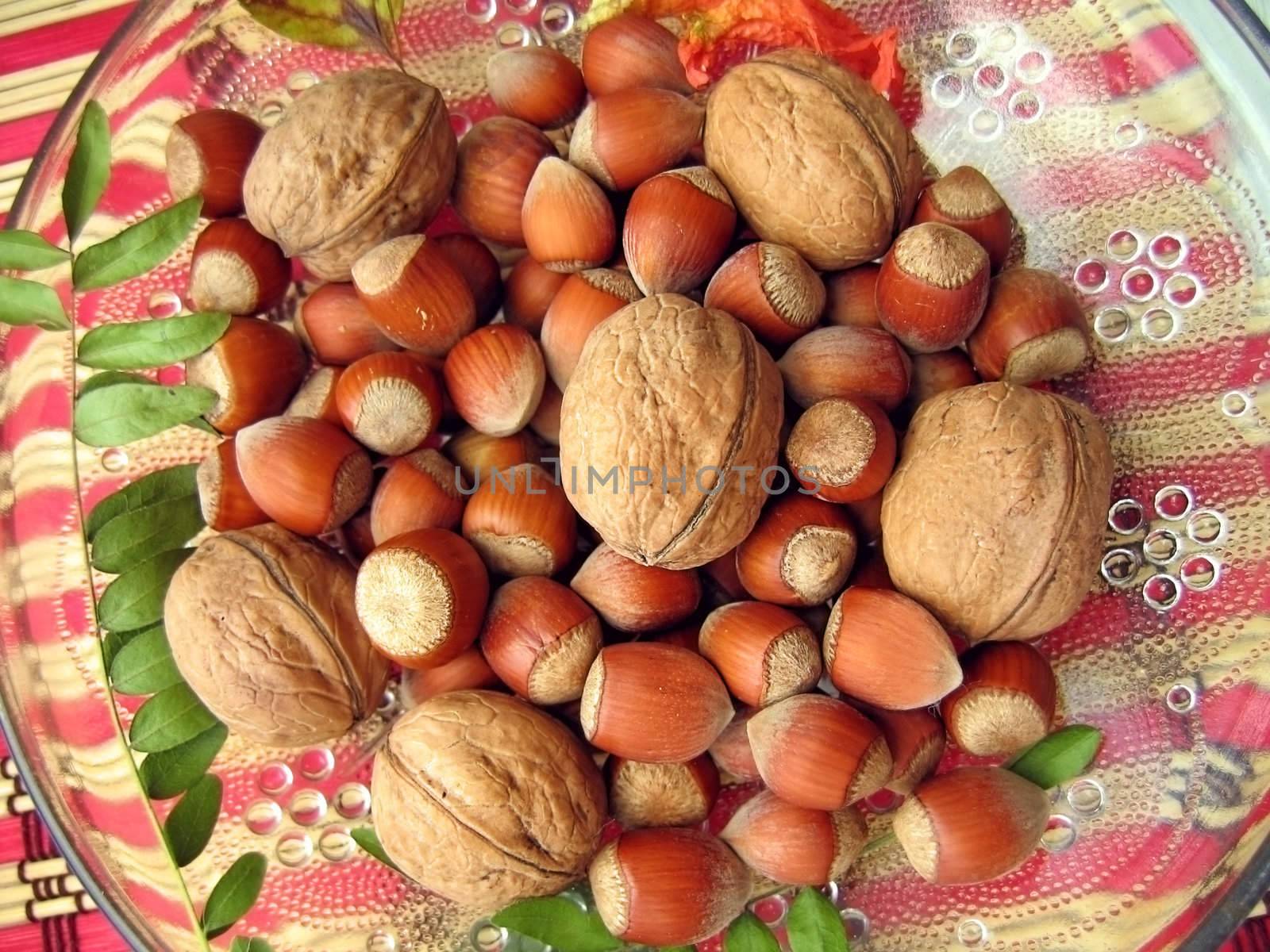 Hazelnuts, walnuts assorted on the plate