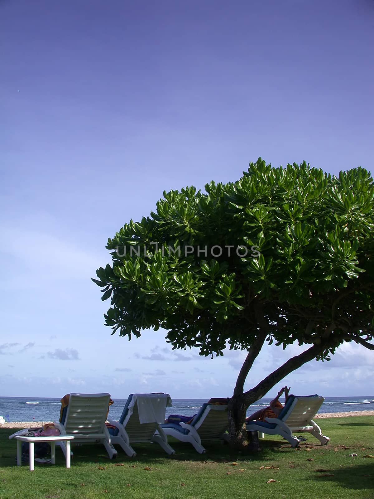 Relaxing on the beach