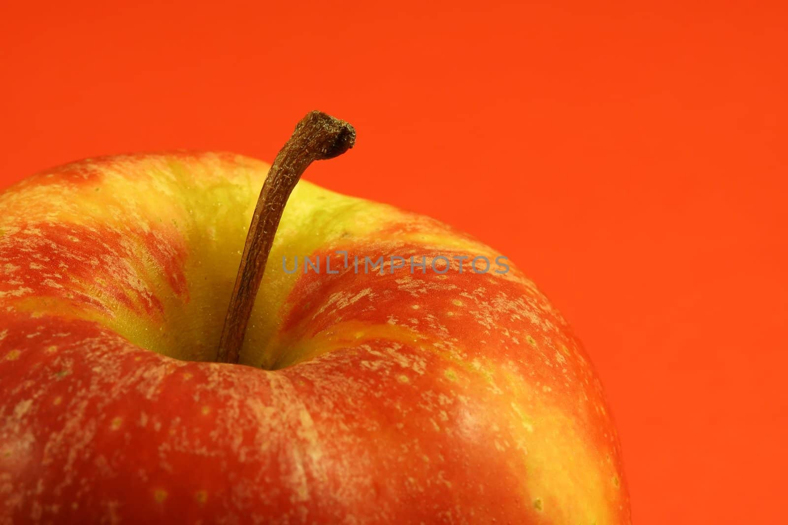 Apple close-up