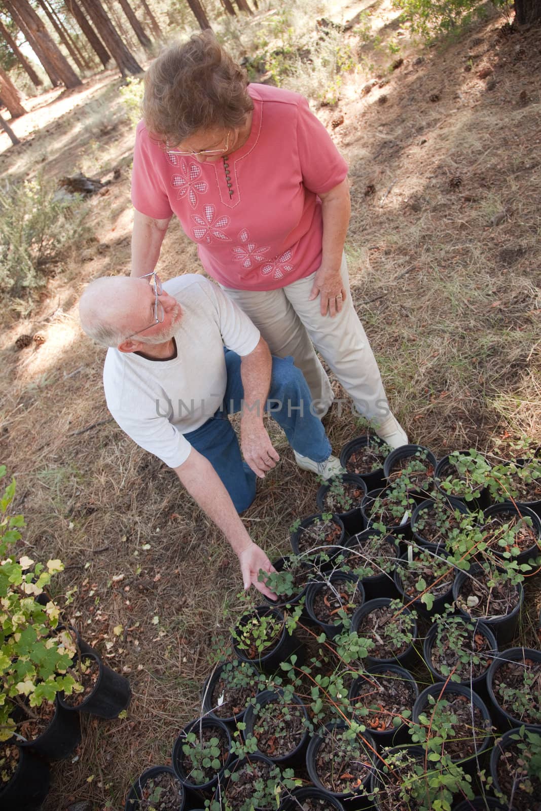 Attractive Senior Couple Overlooking Potted Plants at the Nursery.