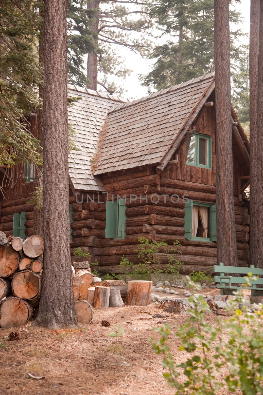 Classic Vintage Log Cabin Amidst the Pine Trees-  Tallac Historic Site - Lake Tahoe, California..