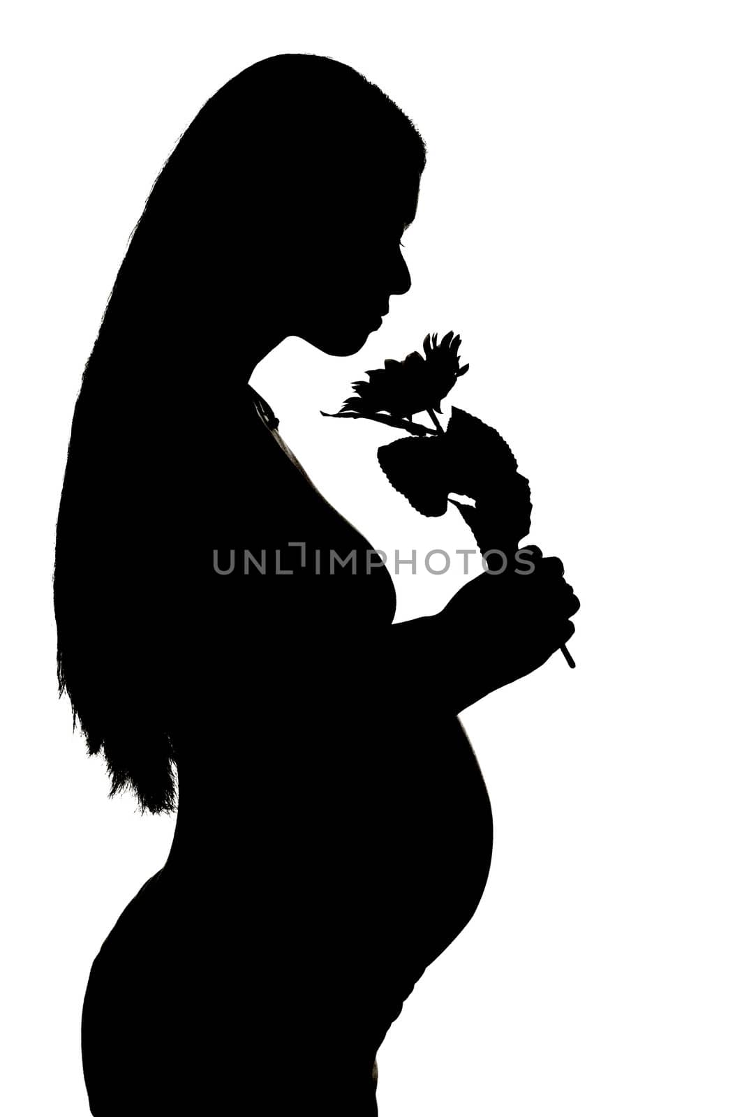 Silhouette of a pregnant woman by szefei