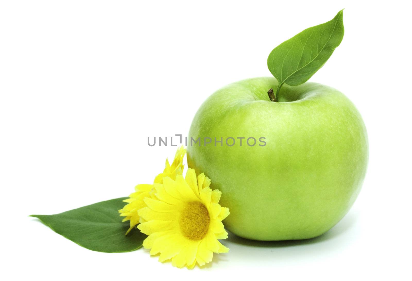 Photo of a ripe green apple, Photo of a ripe green apple